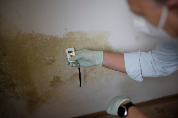 Pioneer, OH Mold Remediation Company